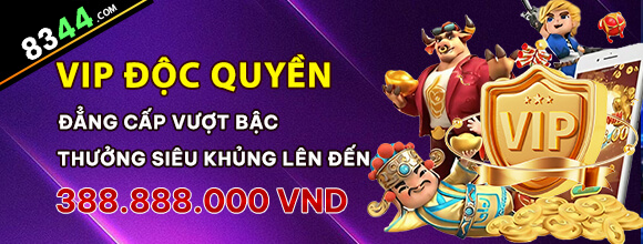 Hình ảnh quảng cáo của ibo88 hiển thị nền tảng và các lợi ích