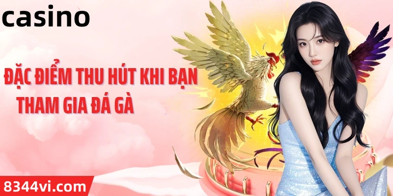 Hình ảnh quảng cáo của ibo88 hiển thị nền tảng và các lợi ích