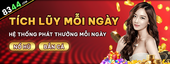 Hình ảnh quảng cáo của ibo88 hiển thị nền tảng và các lợi ích