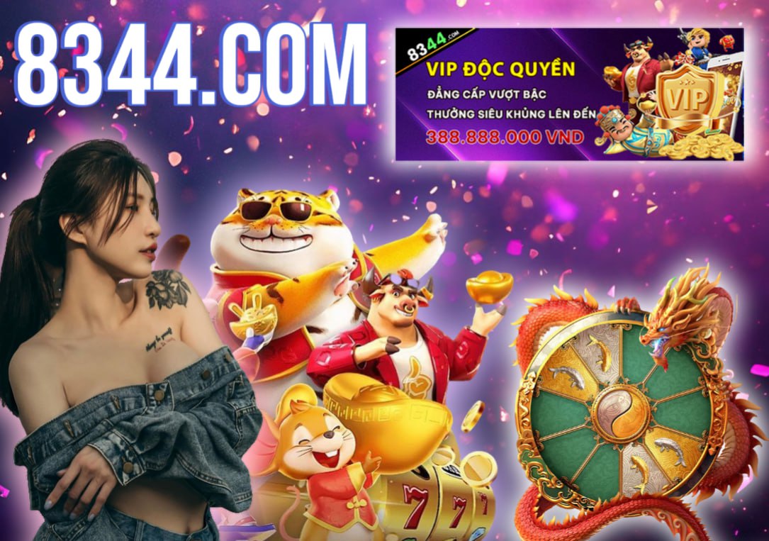 Hình ảnh quảng cáo của ibo88 hiển thị nền tảng và các lợi ích