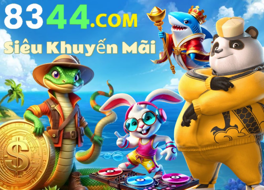 Hình ảnh quảng cáo của ibo88 hiển thị nền tảng và các lợi ích