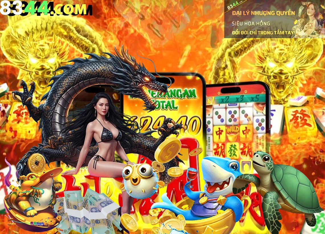 Hình ảnh quảng cáo của ibo88 hiển thị nền tảng và các lợi ích
