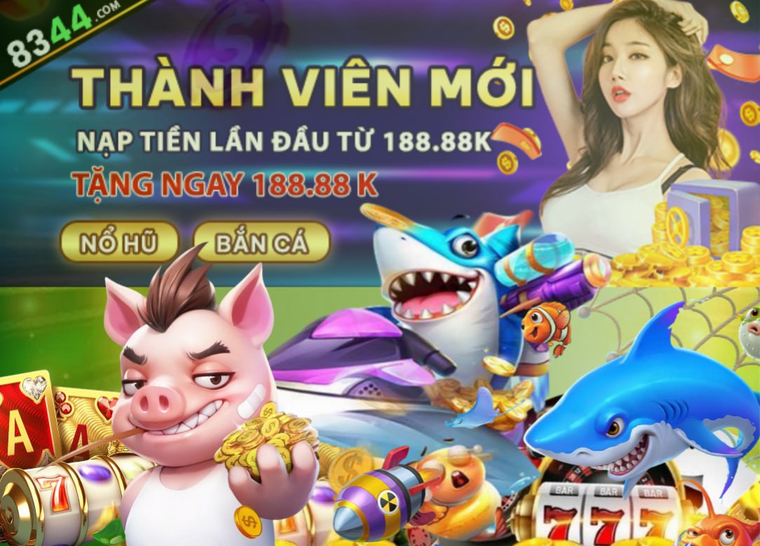 Hình ảnh quảng cáo của ibo88 hiển thị nền tảng và các lợi ích
