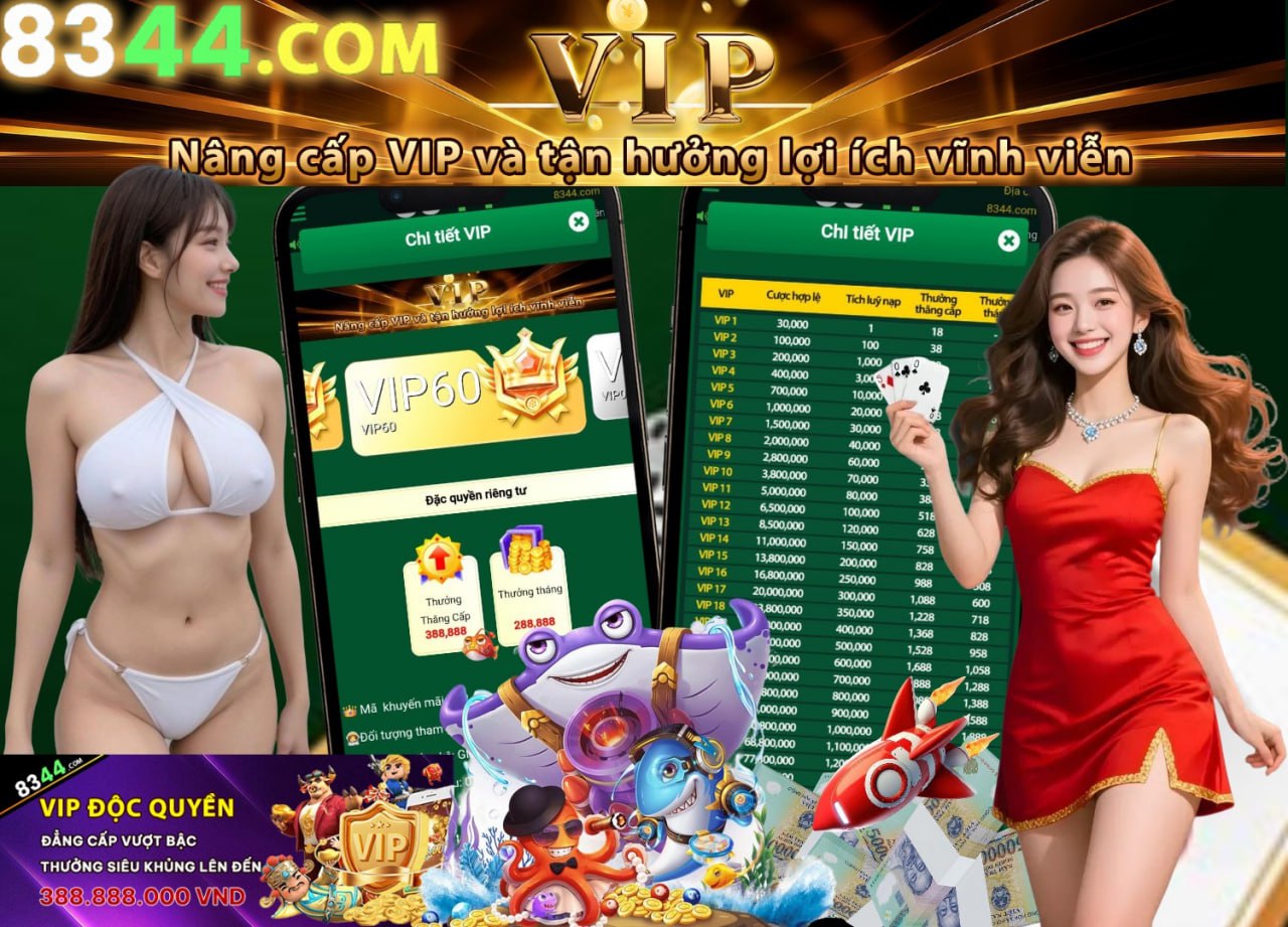 Hình ảnh quảng cáo của ibo88 hiển thị nền tảng và các lợi ích
